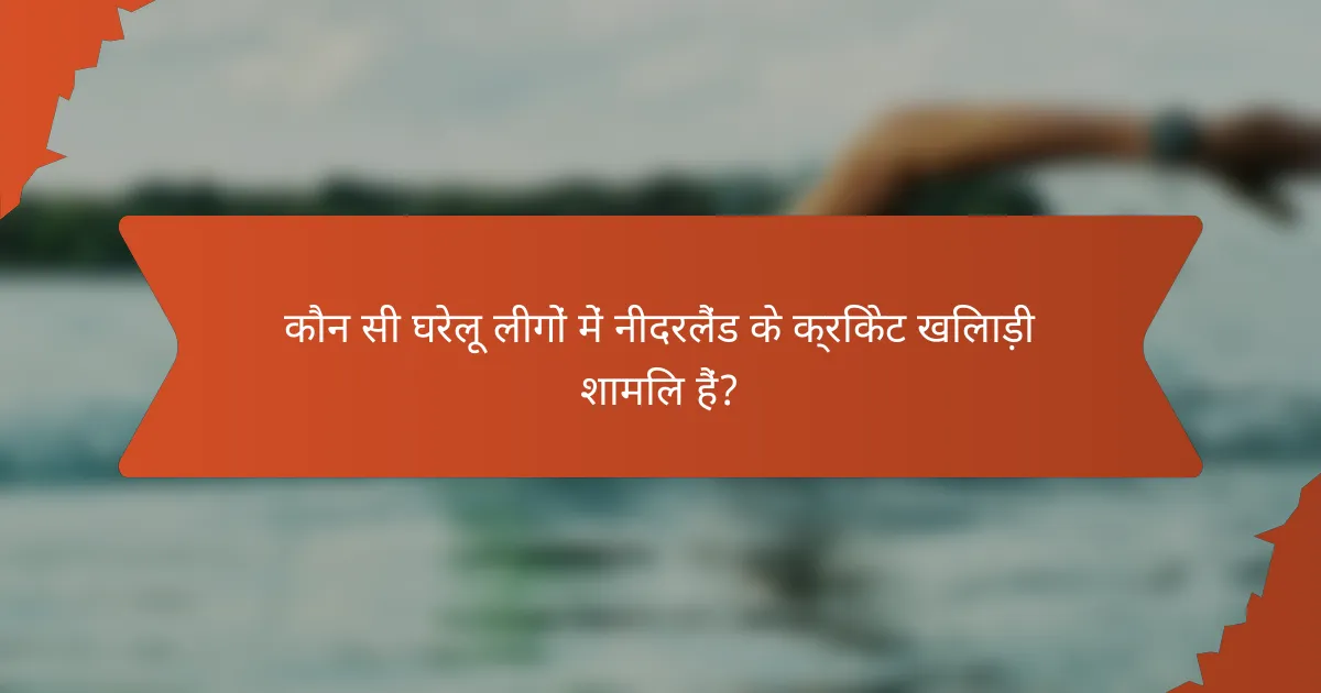 कौन सी घरेलू लीगों में नीदरलैंड के क्रिकेट खिलाड़ी शामिल हैं?